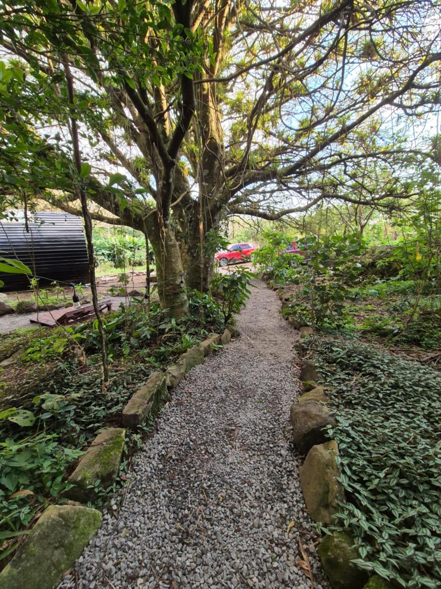 Glamping Monteverde Extérieur photo